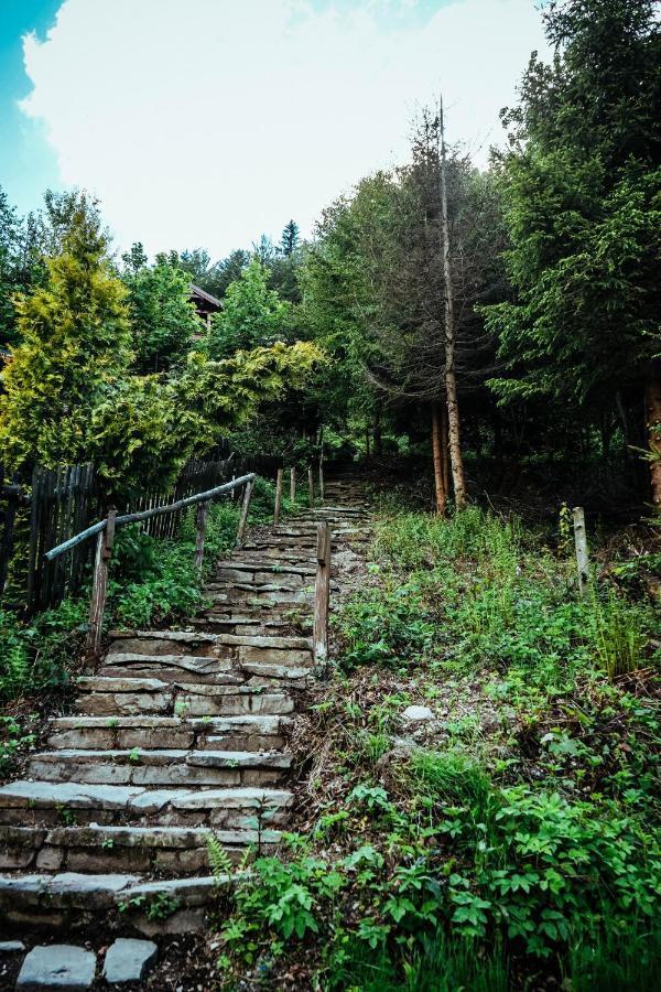 Chill On Hill - Szczyrk Villa Exteriör bild